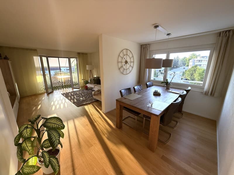 Zentral gelegene Wohnung (5)