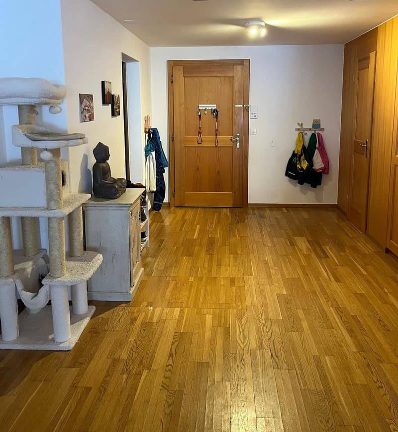 Charmante 5.5 Zimmer-Wohnung (3)