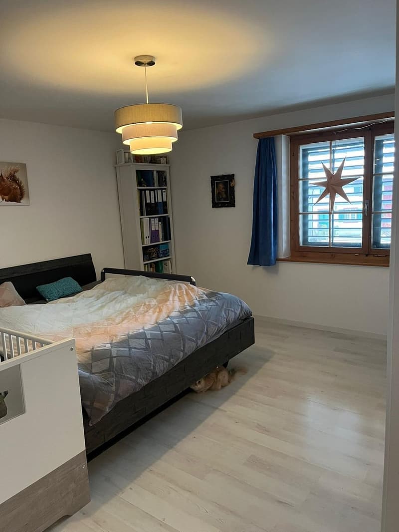 Charmante 5.5 Zimmer-Wohnung (5)