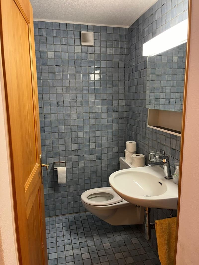 Charmante 5.5 Zimmer-Wohnung (8)