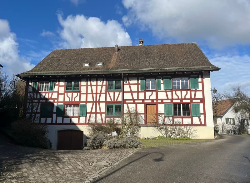 Charmante 5.5 Zimmer-Wohnung (1)