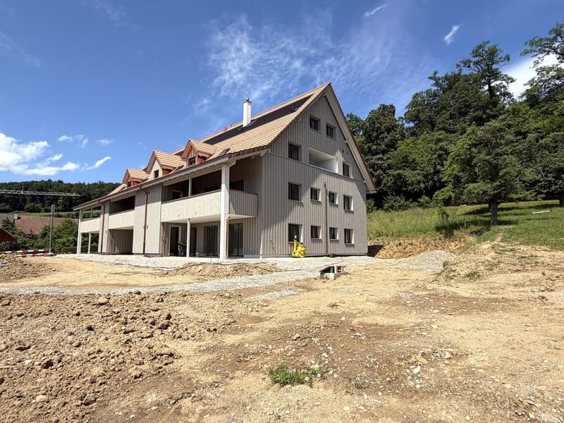 2.5-Zimmer-Dachwohnung mit Aussicht & Loggia - Erstbezug (8)