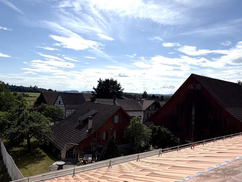 2.5-Zimmer-Dachwohnung mit Aussicht & Loggia - Erstbezug (9)
