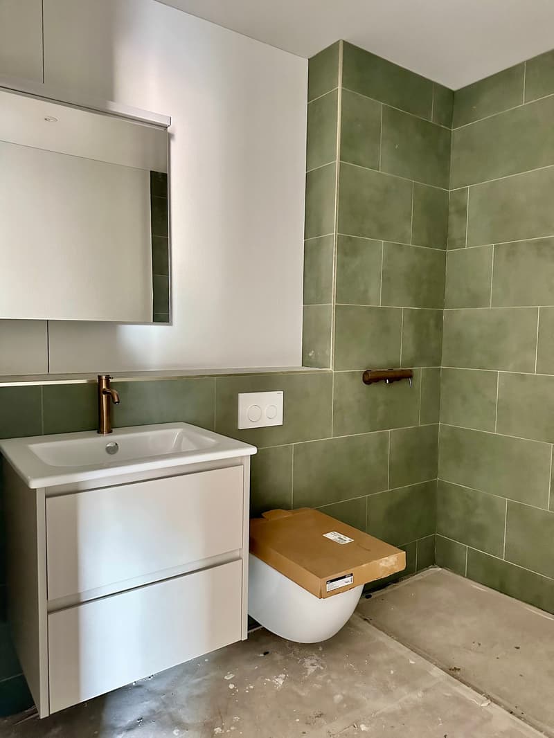 Erstbezug! 3.5-Zi.-Wohnung mit grossem gedeckten Balkon (3)