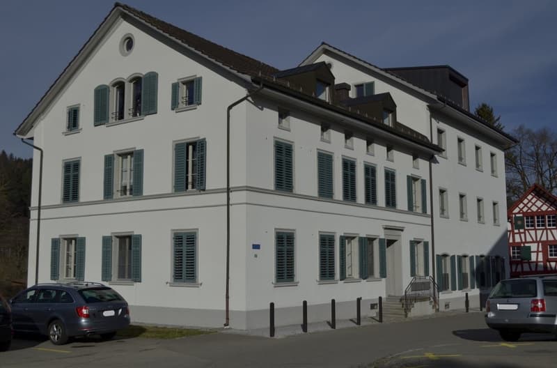 Grosszügige Loftwohnung an zentraler Lage in Turbenthal (4)