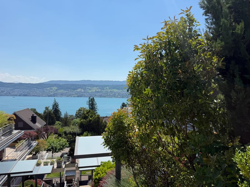 Grosszügige 6-Zimmer-Terrassenwohnung mit atemberaubendem Ausblick in Herrliberg (12)