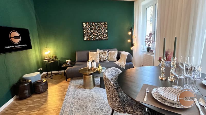 NEU! MODERNES 2-BEDROOM SERVICED APARTMENT / NEW! MODERN 2-BEDROOM SERVICED APARTMENT (5)