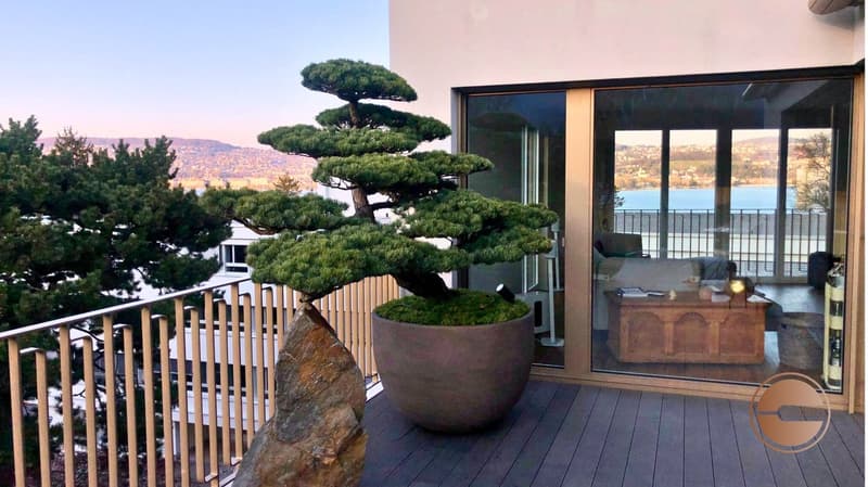 EXKLUSIVE ATTIKAWOHNUNG MIT ATEMBERAUBENDER AUSSICHT / EXCLUSIVE PENTHOUSE WITH BREATHTAKING VIEWS (11)