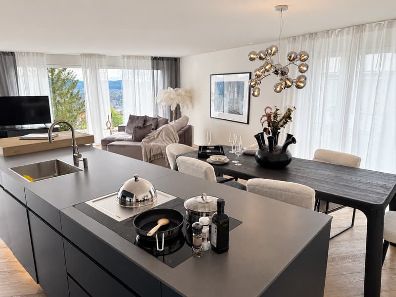 PRECIOUS PENTHOUSE LIVING – ÜBER DEN DÄCHERN ZÜRICHS (9)
