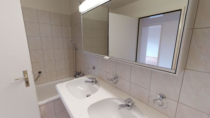 ATTRAKTIVE Wohnung sucht Mieter (3)