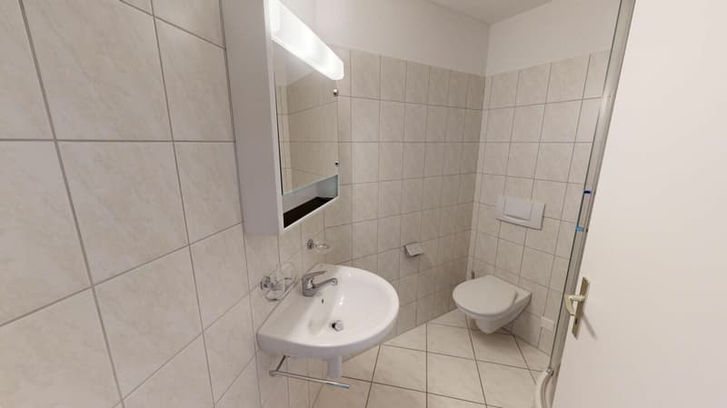 ATTRAKTIVE Wohnung sucht Mieter (4)