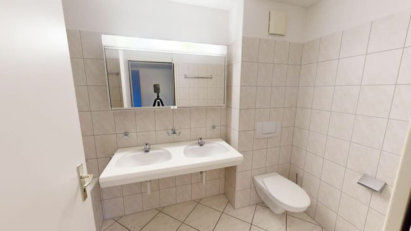 ATTRAKTIVE Wohnung sucht Mieter (3)