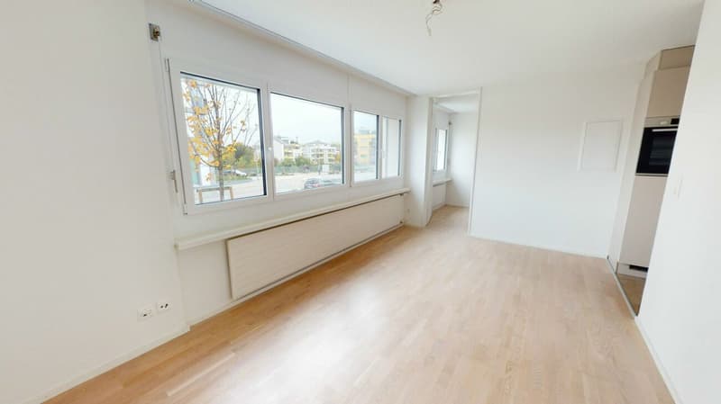 Moderne Single-Wohnung mit Frühlingsrabatt (5)