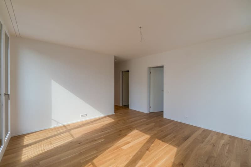 Modern 3.5 Zimmer Wohnung (6)
