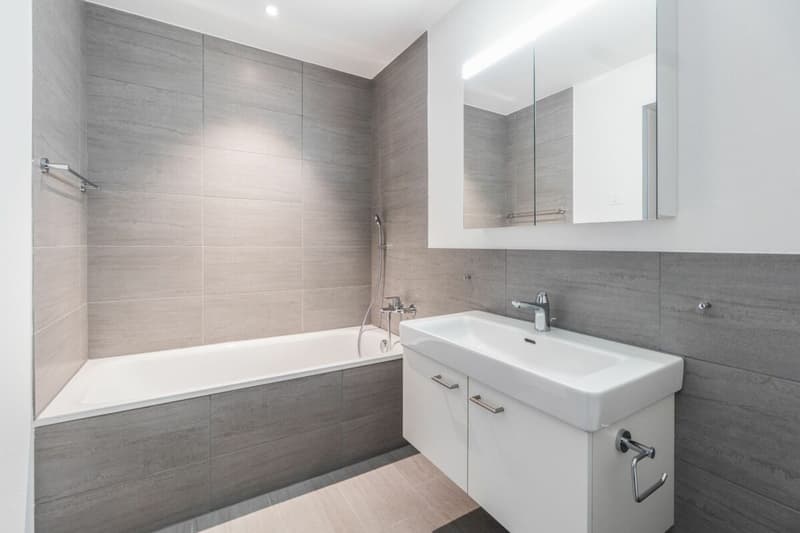 Modern 3.5 Zimmer Wohnung (12)