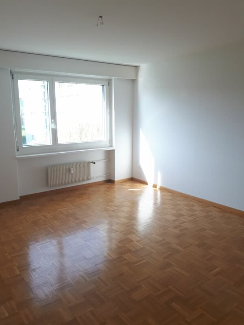 Charmante 6.0 Zimmer Wohnung (7)