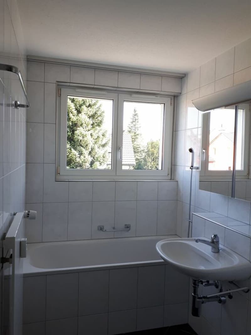 Charmante 6.0 Zimmer Wohnung (4)