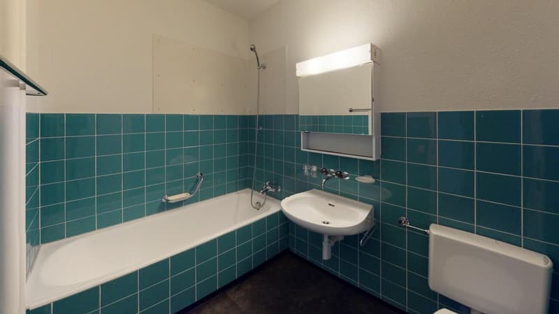 Zentrumsnahe 2-Zimmer-Wohnung (3)