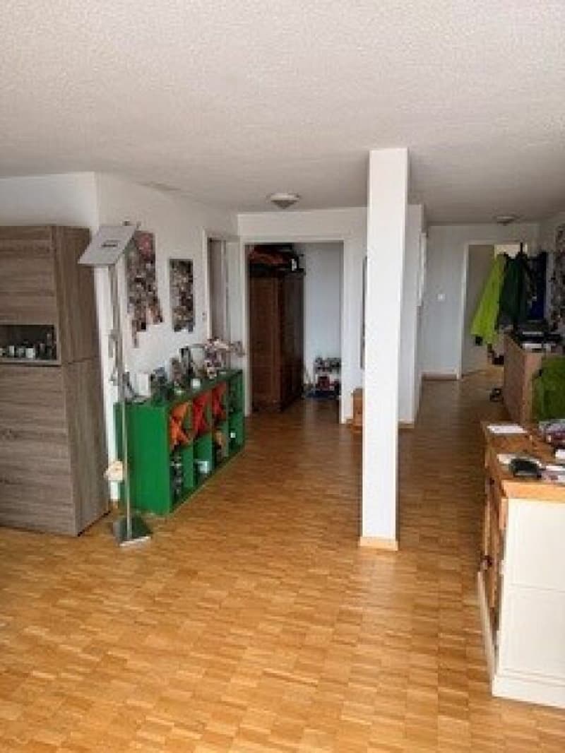 4.5 Zimmer-Altbauwohnung mit grosser Dachterrasse (6)