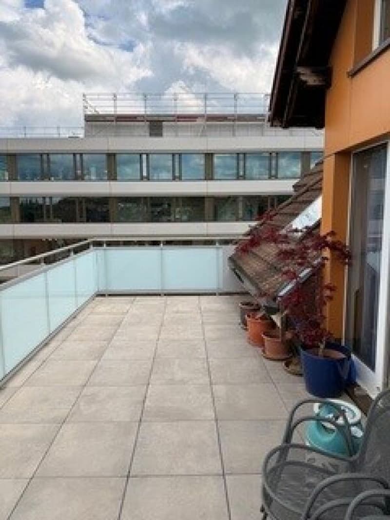 4.5 Zimmer-Altbauwohnung mit grosser Dachterrasse (2)