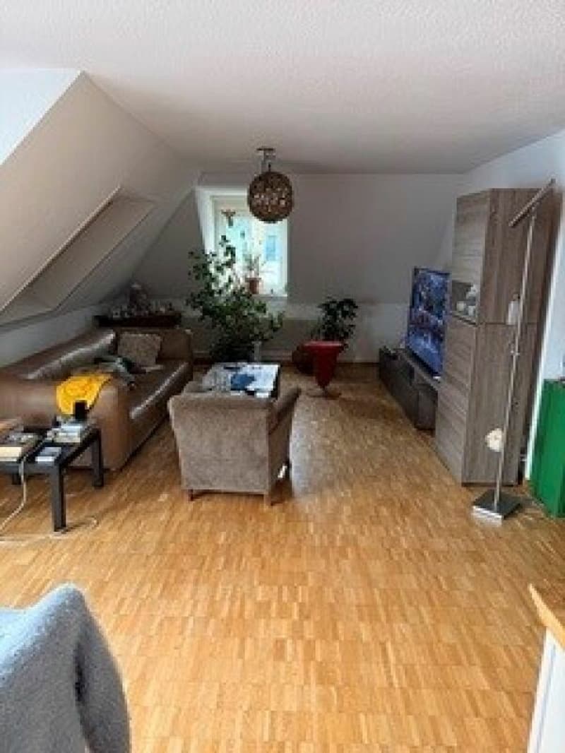 4.5 Zimmer-Altbauwohnung mit grosser Dachterrasse (4)
