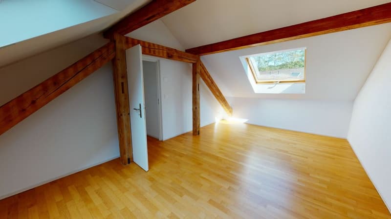 Gemütliche Dachwohnung an ruhiger Lage (5)
