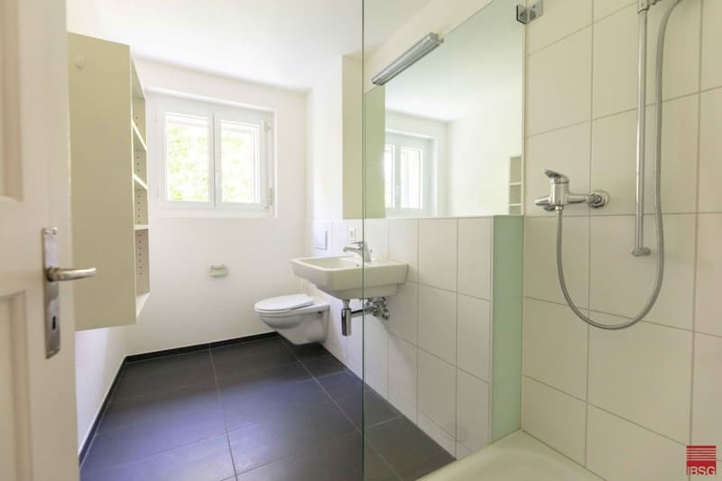 Grosszügige Wohnung an RUHIGER Lage (2)