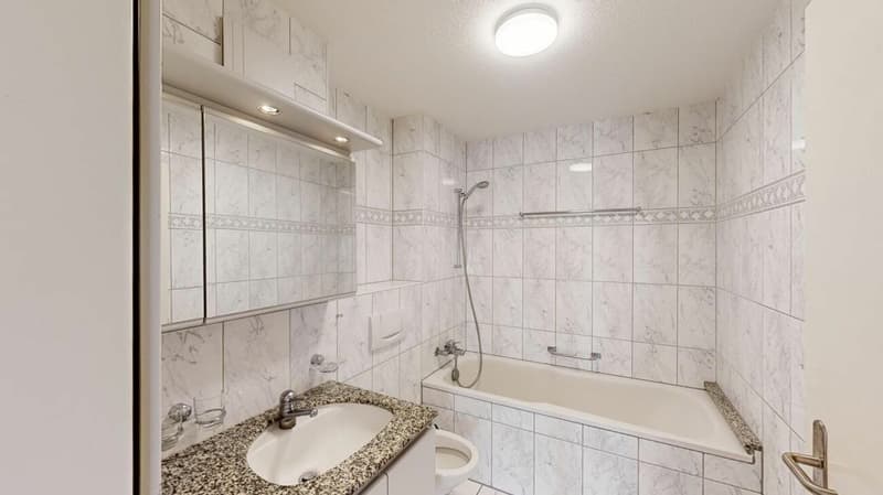 Schöne 2.5 Zimmerwohnung sucht Nachmieter (4)