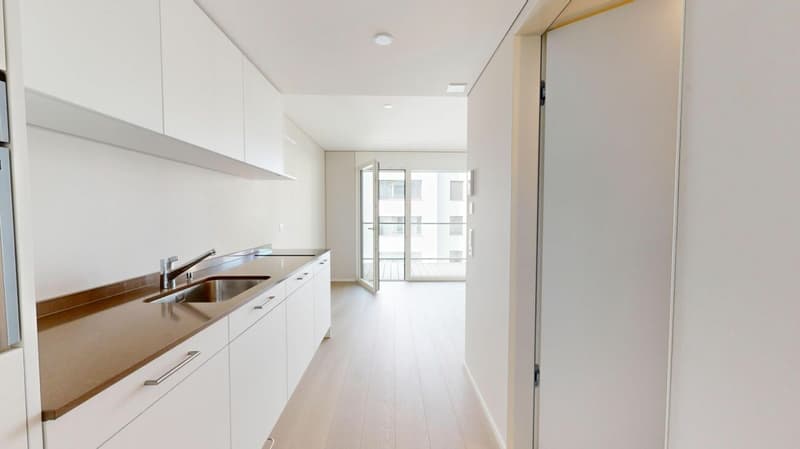Moderne Single-Wohnung (2)
