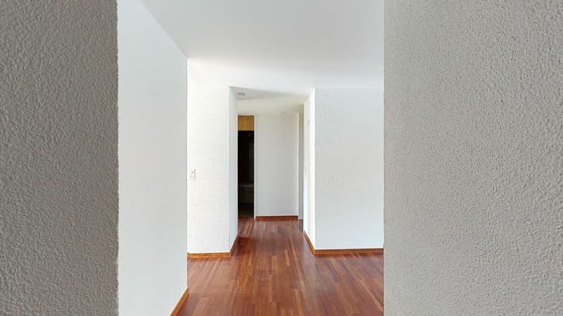 Gemütliche Wohnung im Rorschacherberg (4)