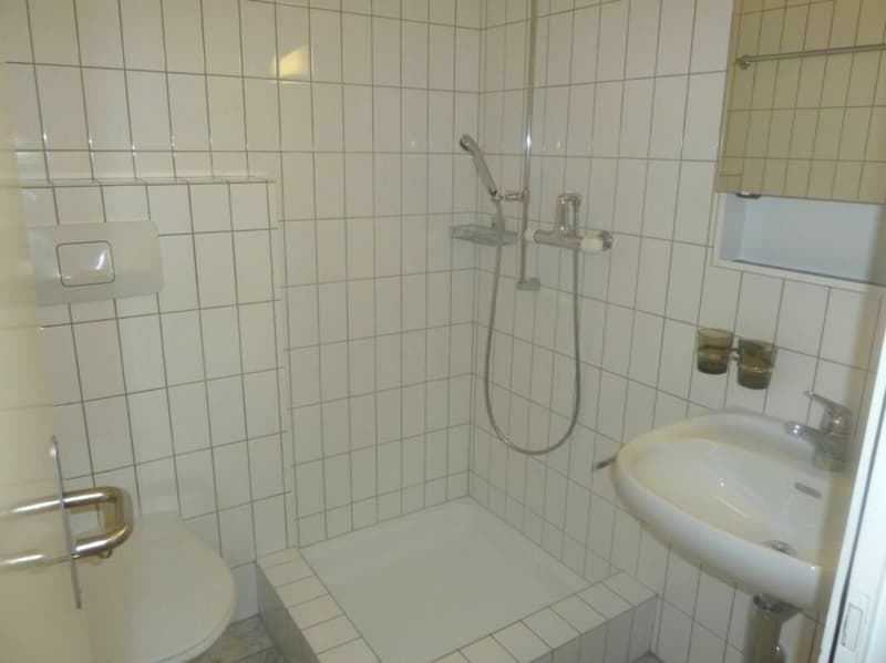 Helle 5.5 Zimmer Maisonette Wohnung mitten in der Stadt - befristet bis 31.03.2027 (11)