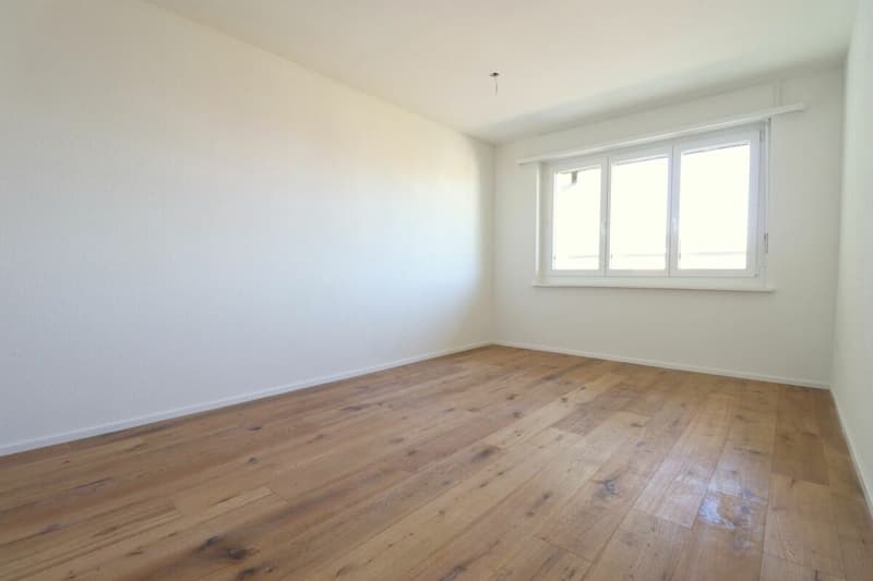 3.5 Zimmer Wohnung (5)