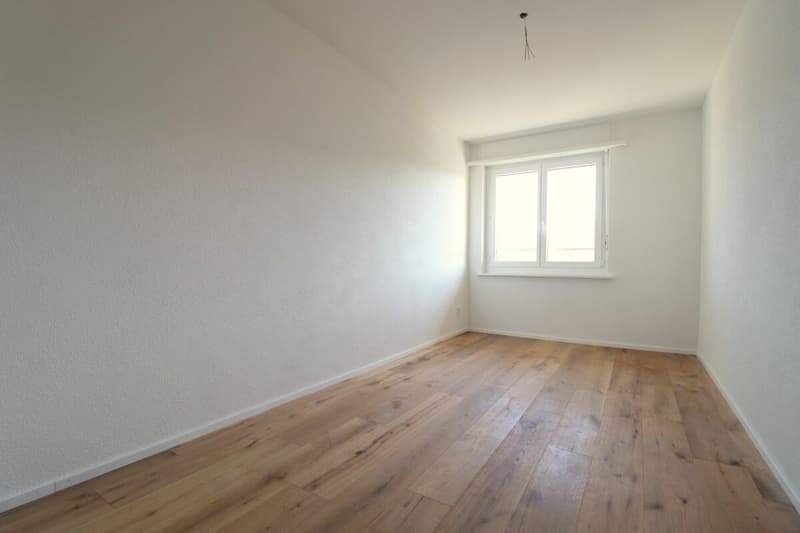 3.5 Zimmer Wohnung (6)