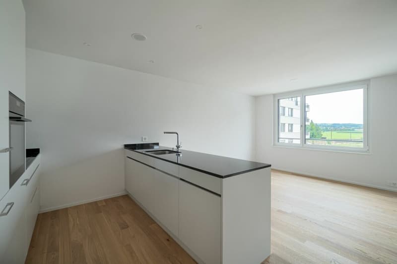 Moderne 3.5 Zimmer Wohnung am See (3)