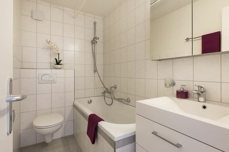 Helle Wohnung zu vermieten (4)