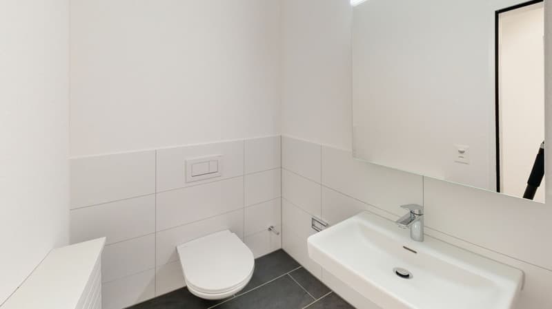 Ihr neues Büro in Rorschach (7)