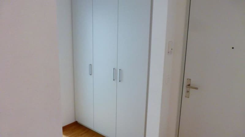Attraktive Single Wohnung (6)