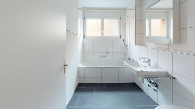 Attraktive Single Wohnung (4)