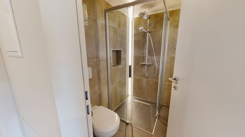 Moderne Single-Wohnung (5)