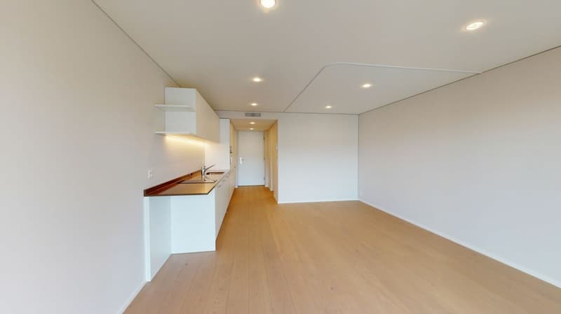 Moderne Single-Wohnung (4)