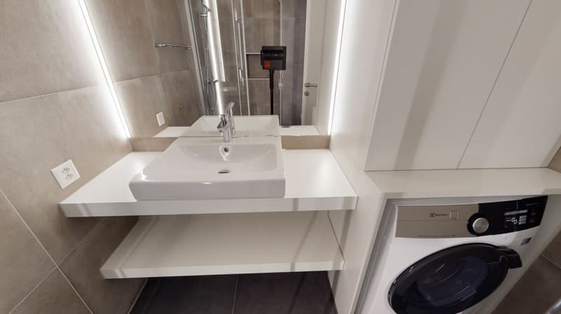 Moderne Single-Wohnung (6)