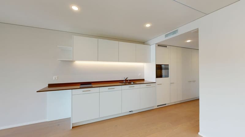 Moderne Single-Wohnung (2)