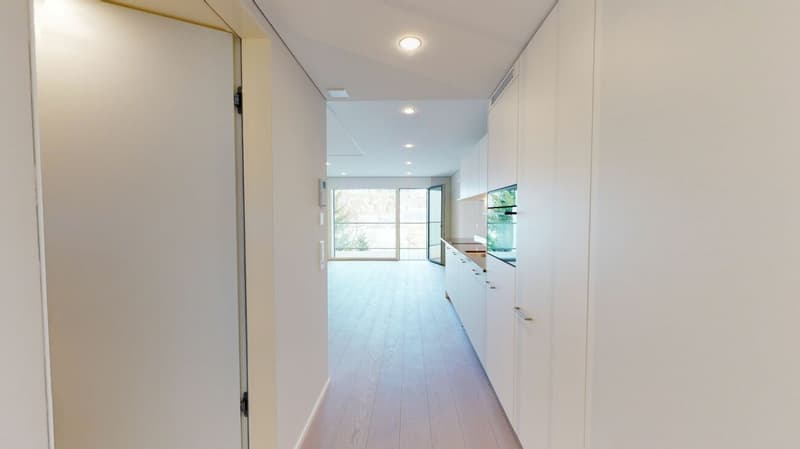 Moderne Single-Wohnung (3)