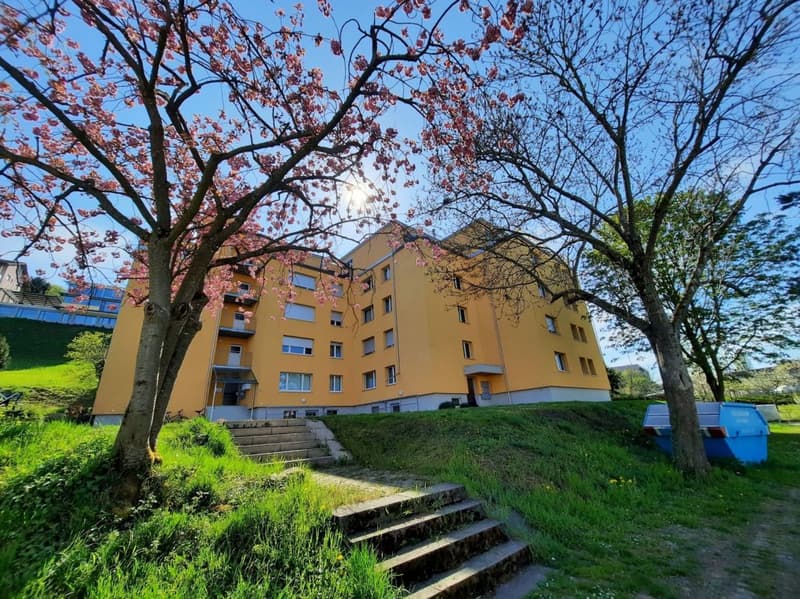 ATTRAKTIVE Sitzplatz-Wohnung in Ermatingen (1)