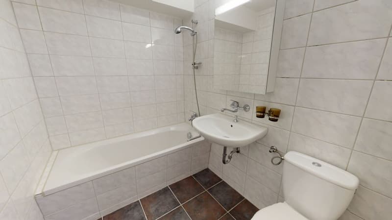 ATTRAKTIVE Sitzplatz-Wohnung in Ermatingen (5)