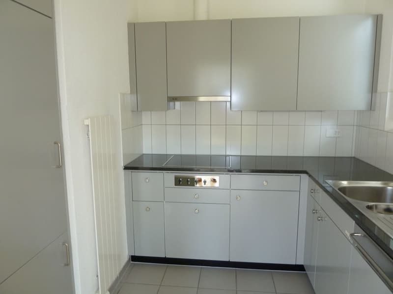Grosse helle 4.5 Zimmer Familienwohnung (4)