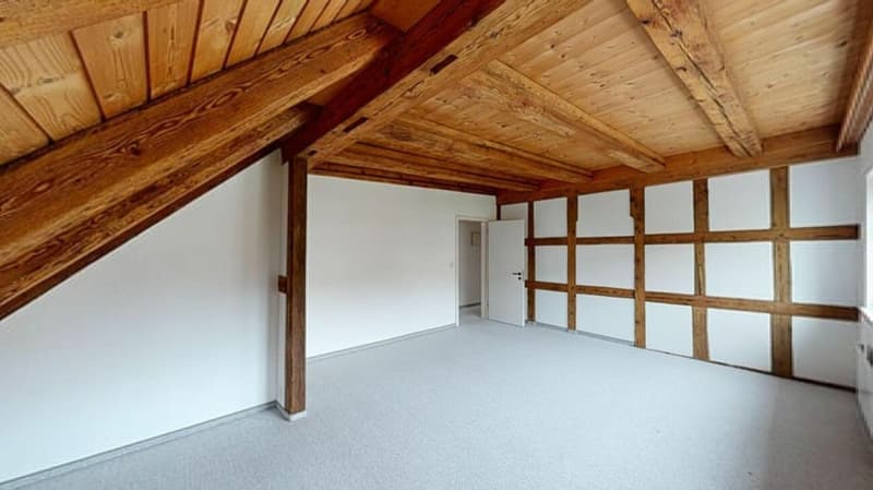4.5 Zimmer-Maisonettewohnung / kann auch als Büro genutzt werden (10)