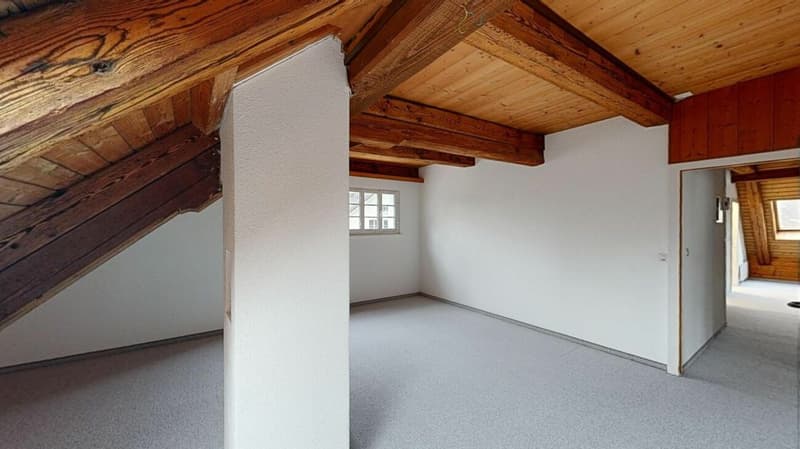 4.5 Zimmer-Maisonettewohnung / kann auch als Büro genutzt werden (8)