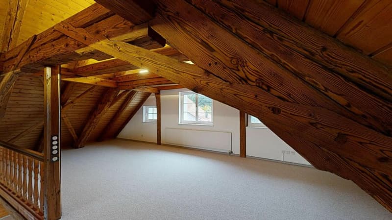 4.5 Zimmer-Maisonettewohnung / kann auch als Büro genutzt werden (7)