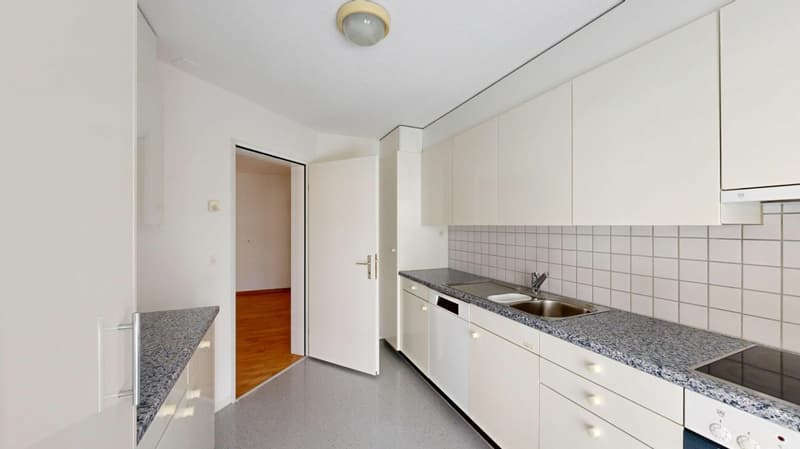 Sitzplatz-Wohnung in Seenähe (5)